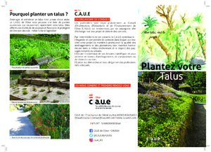 Plantez votre talus