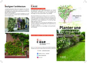 Planter une grimpante
