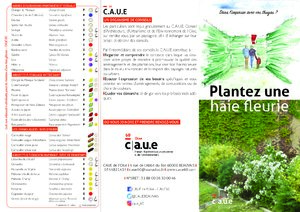 Planter une haie fleurie
